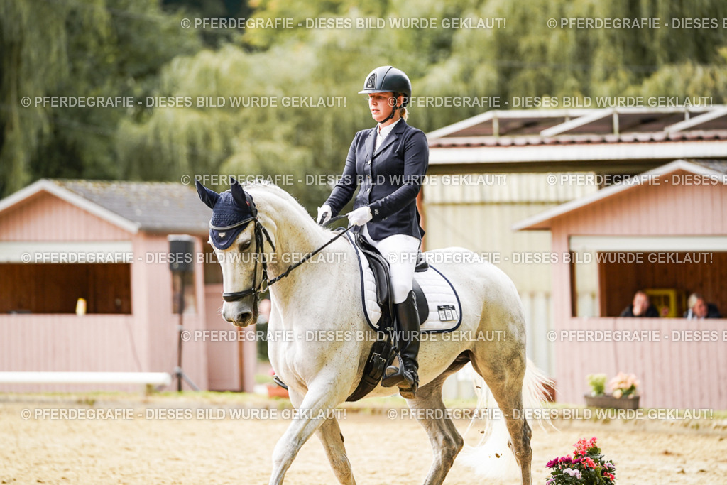 DSC02559 | Pferdegrafie