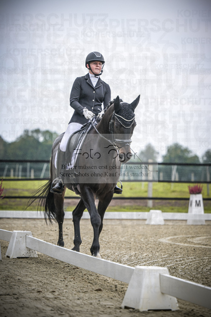 DOS_B337 | Entdecke hochwertige Reitturnierfotos von Foto Oger. Professionell, emotional und authentisch – jetzt Lieblingsmomente im Shop bestellen.Deutschlandweite Turnierfotografie. - Realisiert mit Pictrs.com