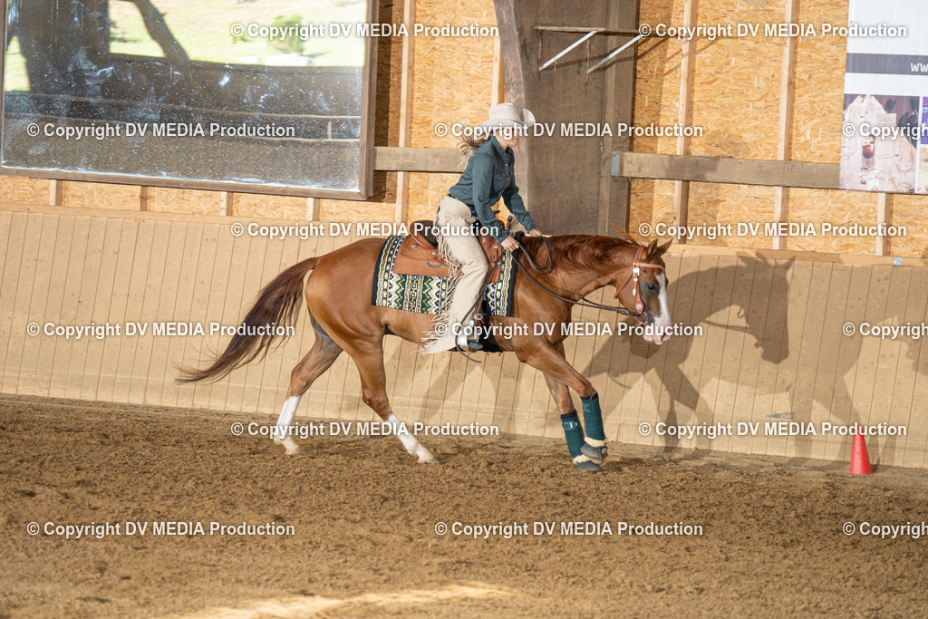 DSC00072 | dv-media-shop - Realisiert mit Pictrs.com