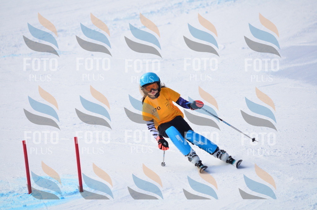 C7893 | holidayphoto