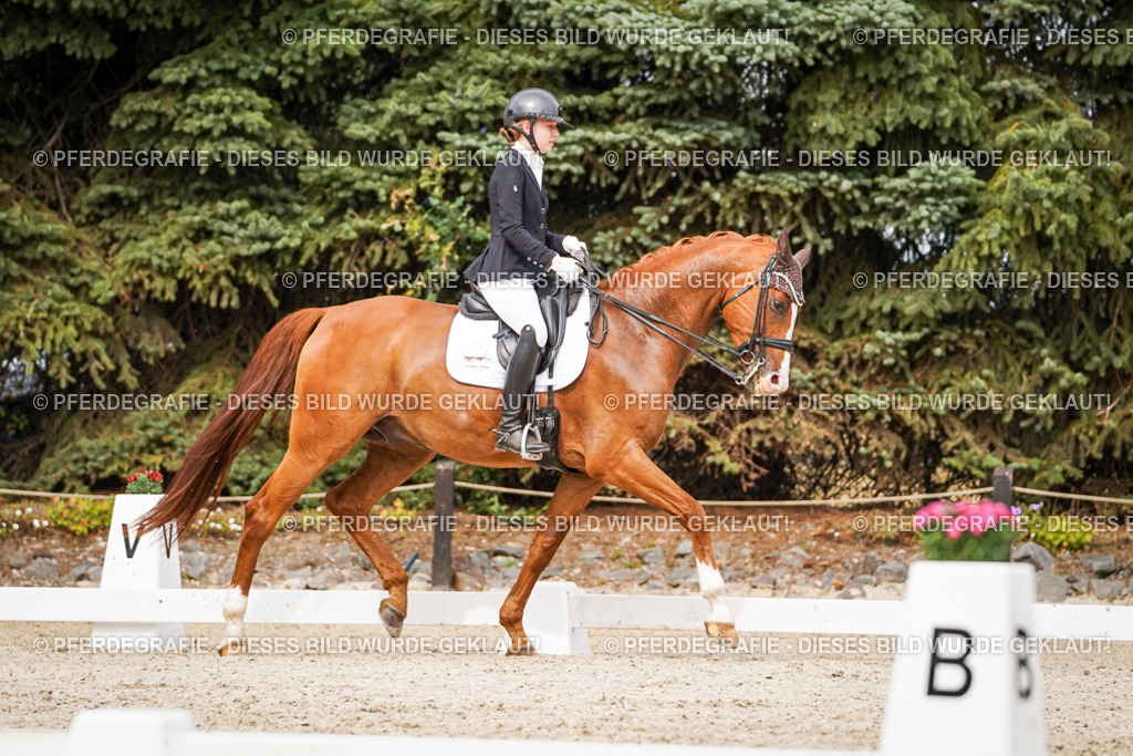 DSC07267 | Pferdegrafie