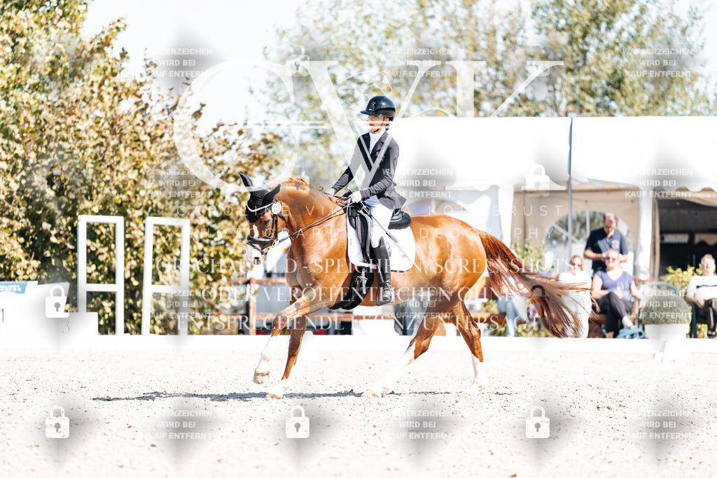 CK904077 | Turnierfotografie Pferdefotografie Trier Rheinland-Pfalz Pferdesport Reitsport Tierfotografie Sportfotografie Pferdevideo Pferdevideografie Equestrianvideography equestrianphotography  - Realisiert mit Pictrs.com