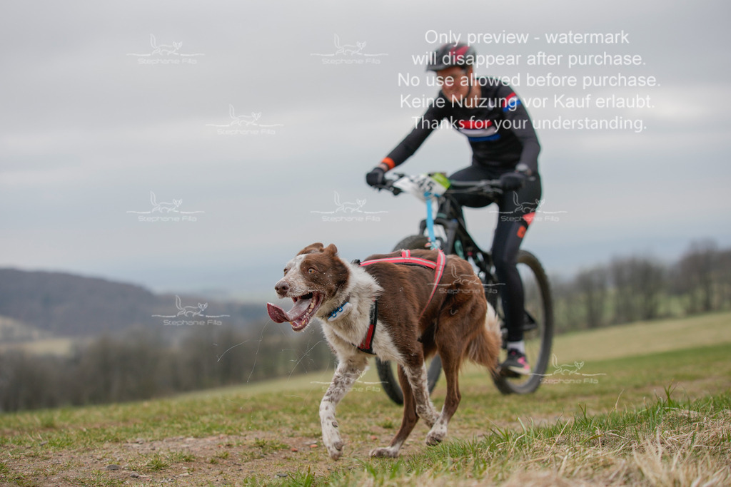 BikeSA-271 | stephaniefillaphotographie - Realisiert mit Pictrs.com