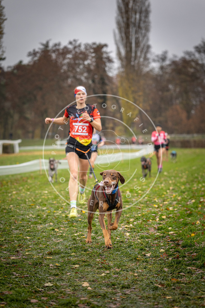 CaniXpix_DV3A9305 | Hundefotografie, Tierfotograf, Pfotenfotografie, Fotoshooting Hund, Hunde Portrait, Hundesport, Hundeportraits, Heideshooting, Hunde, Sportfotograf, Hundefotograf, Turnierhundsport, THS,  - Realisiert mit Pictrs.com
