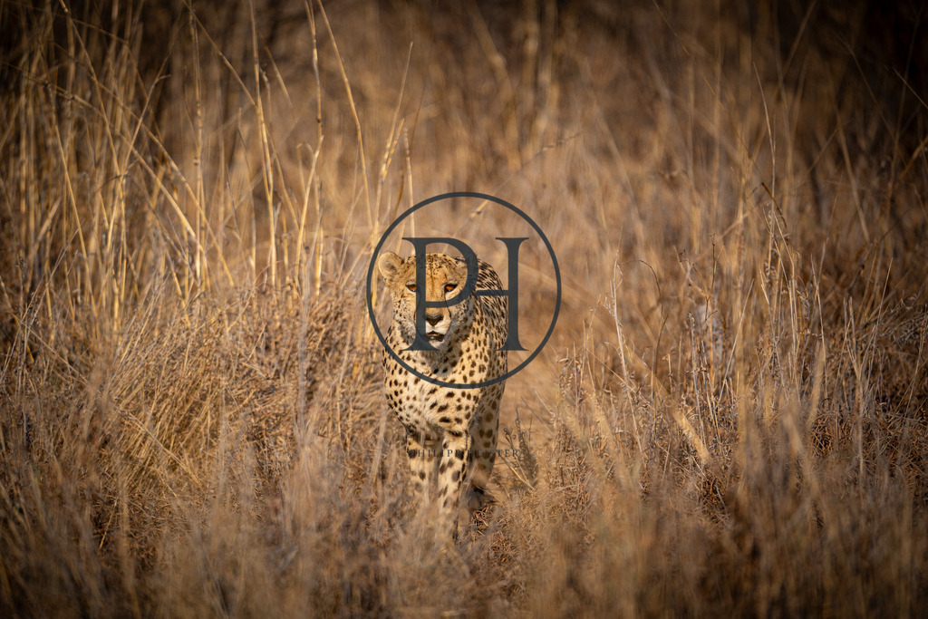 DSC09261 | Philipp-Heist - Realisiert mit Pictrs.com