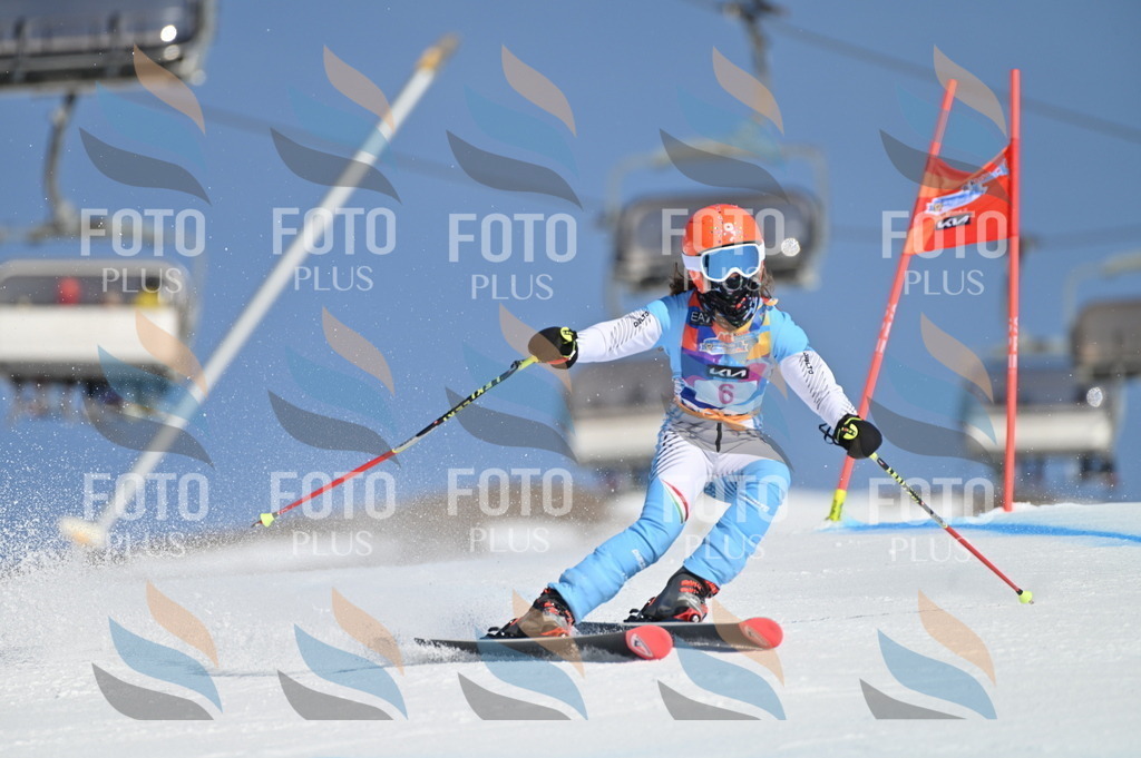 BGV_7667 | holidayphoto