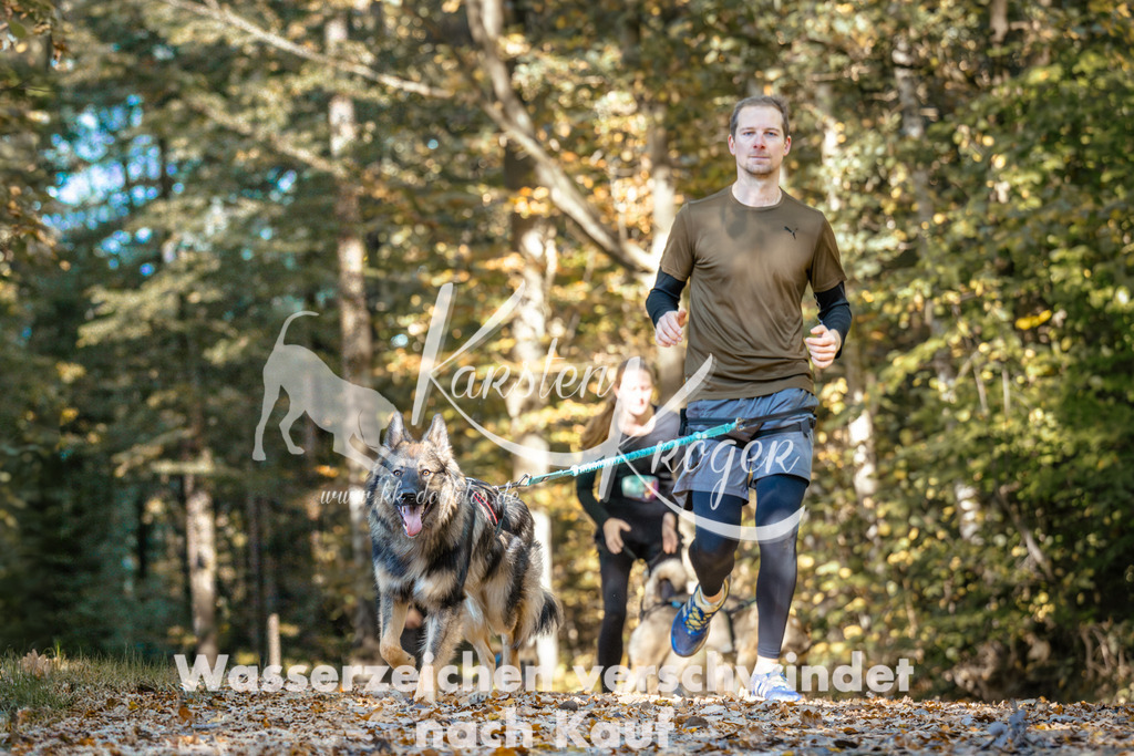 1142_ZZ93184 | kk-dogfotos