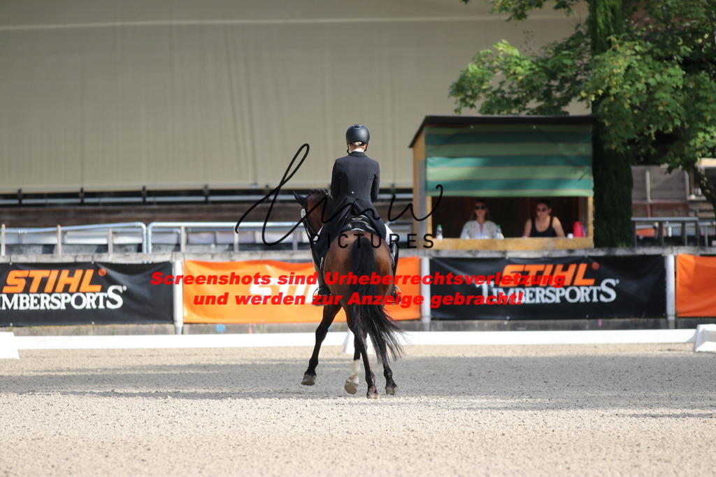 IMG_1036 | lmwpictures - Realisiert mit Pictrs.com