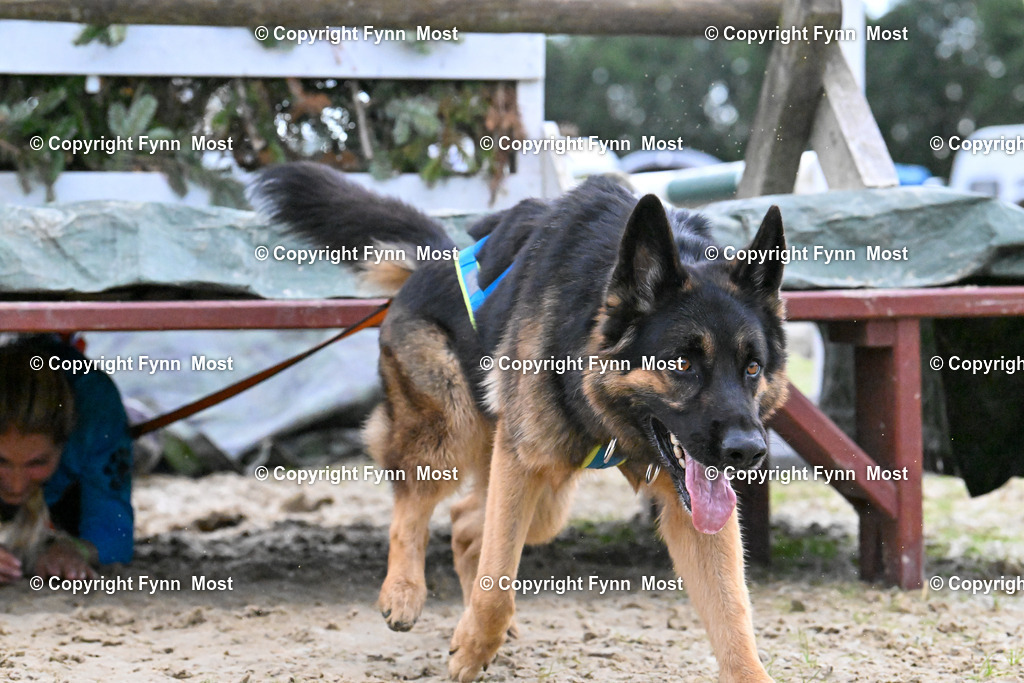 DSC_7211 | Hallo und herzlich Willkommen auf meiner Shop-Seite Fynn Most.

Ich wünsche Dir viel Spaß beim stöbern durch die Bilder, wenn Du Fragen hast oder Bilder vermisst, kannst du mir gerne eine Nachricht schreiben. - Realisiert mit Pictrs.com