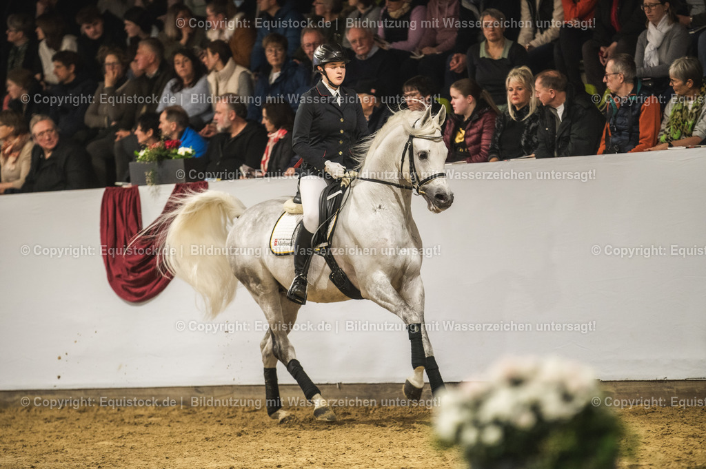 20240302_Hengstvorstellung_Marbach_TOMsPiC_1039-2 | equistock