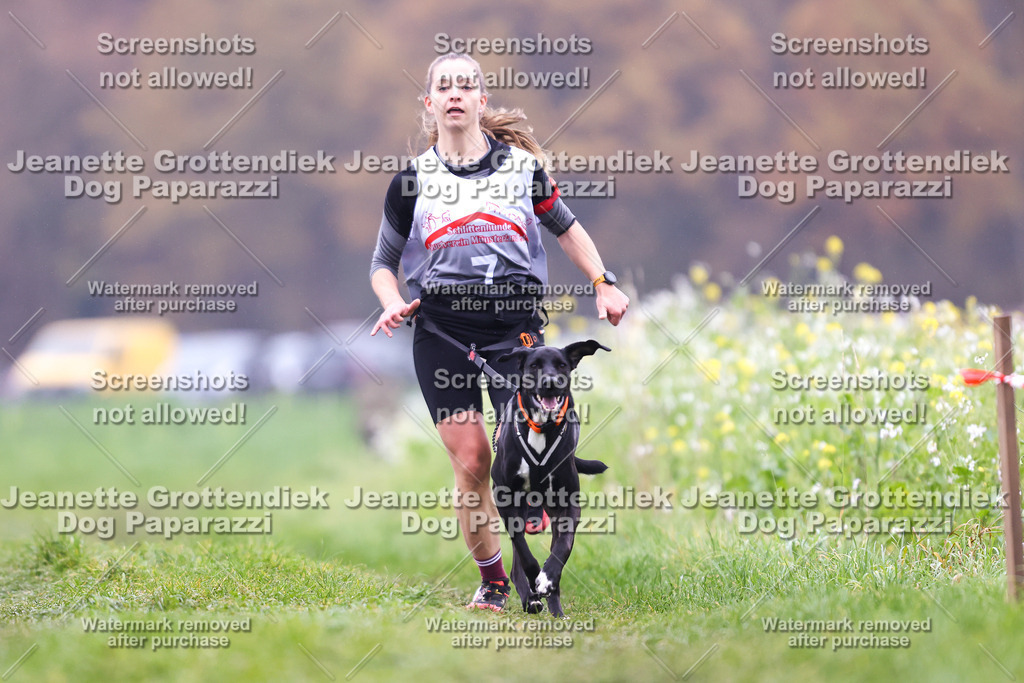 Dog Paparazzi - Visbeck 25 -814 | Dog Paparazzi Jeanette Grottendiek Fotografie & Videografie - Realisiert mit Pictrs.com