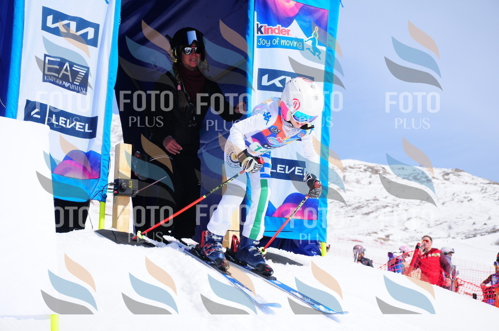 DSC_1214 | holidayphoto