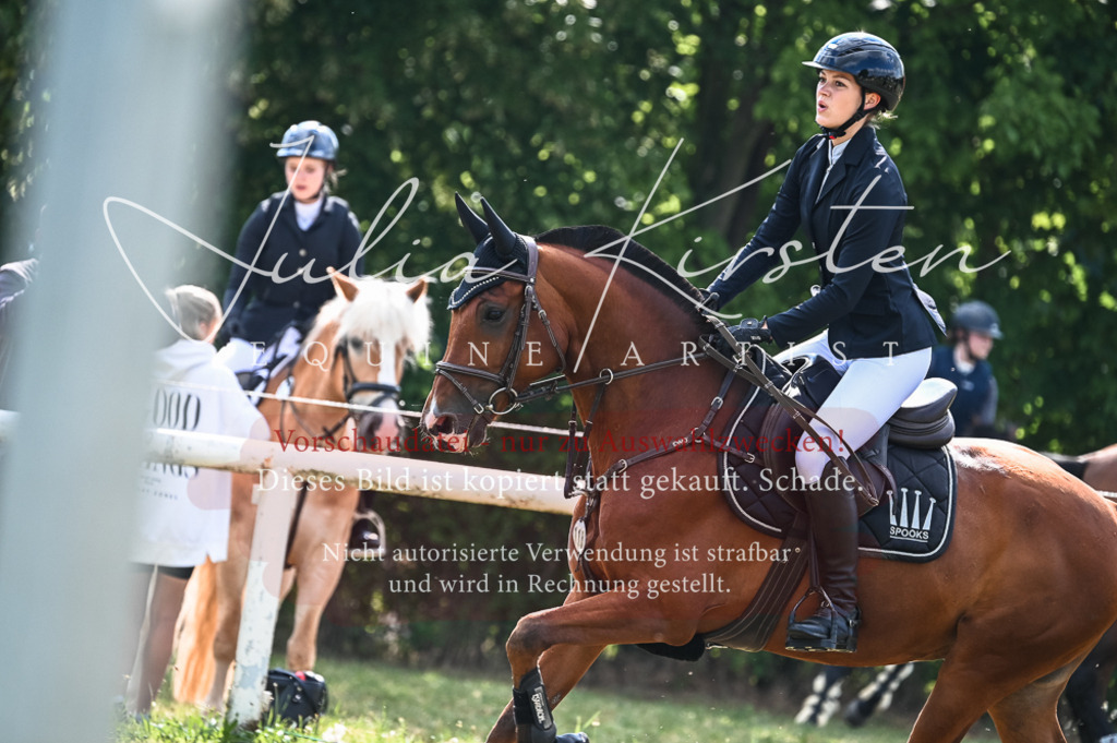 DSC_7908 | Pferde- und Turnierfotografie in Westsachsen. Pferdeportraits, Auftragszeichnungen und intuitive Kunst.