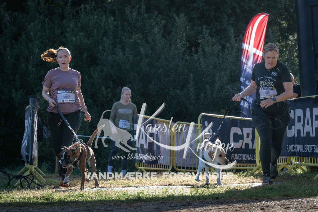 0907_ZZ94174 | kk-dogfotos