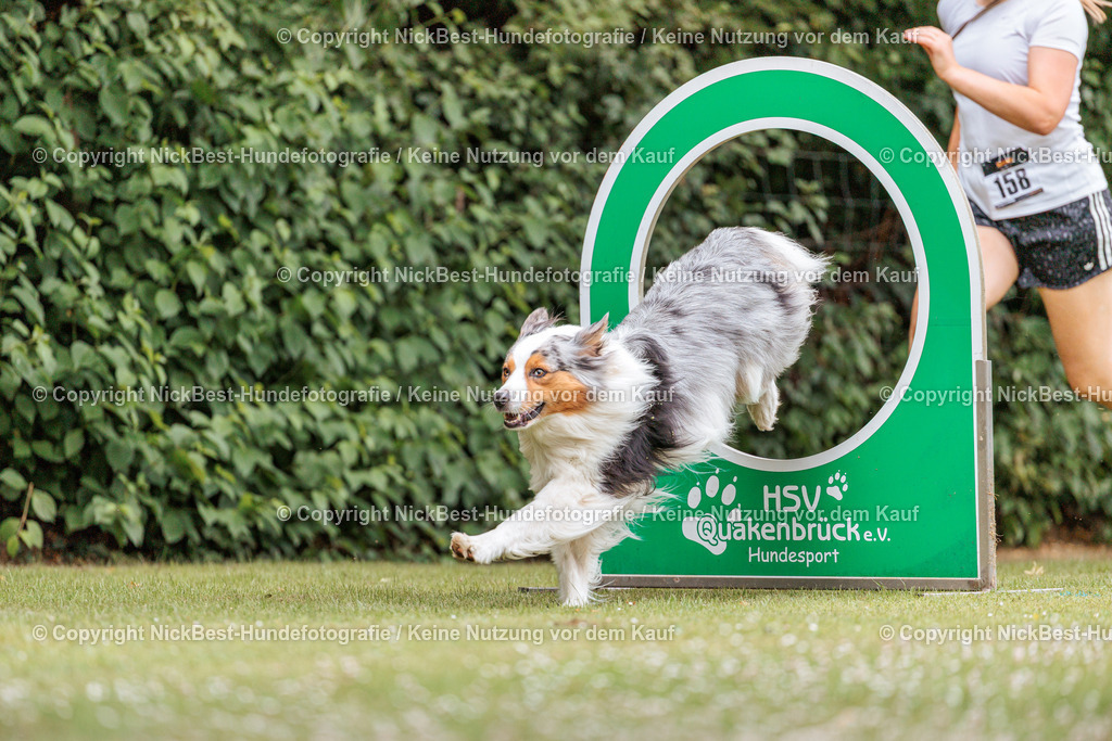 THS-Quakenbrück-2026-Nickbest-Hundefotografie-2130 | Dein Hund! Dein Moment! Deine Erinnerungen! Hundefotografie in Bremen Blumenthal. Ich fange die besonderen Momente deines Vierbeiners ein – ob Indoor mit Blitzanlage oder in der freien Natur. Sicher dir dein Moment und dein Termin für eure Erinnerungen.