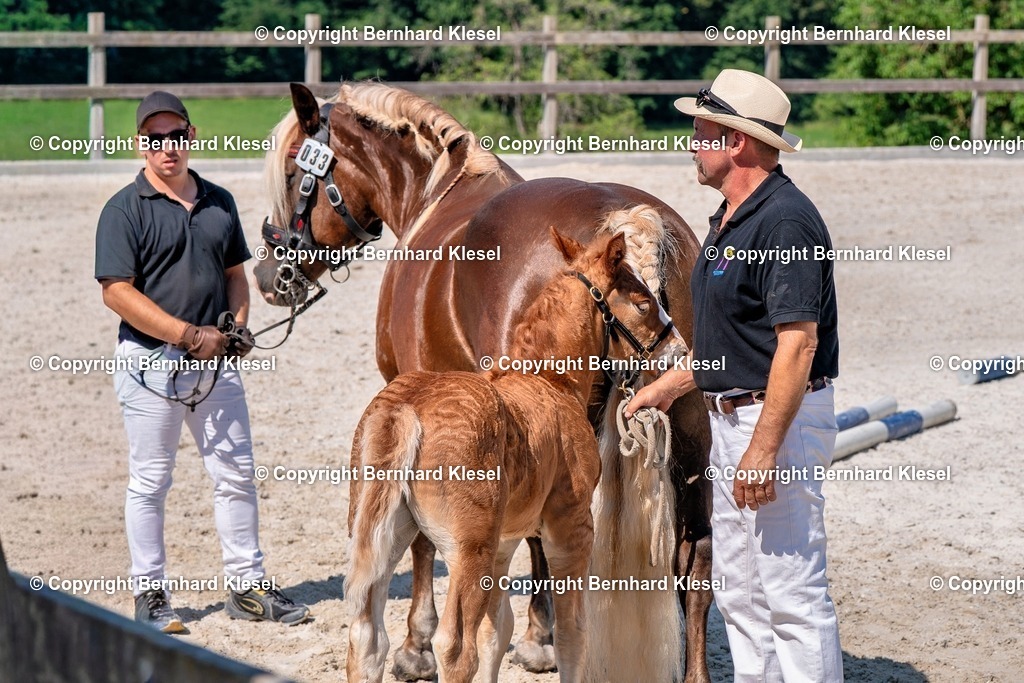 2A906868 | foto-team-bernhard - Realisiert mit Pictrs.com