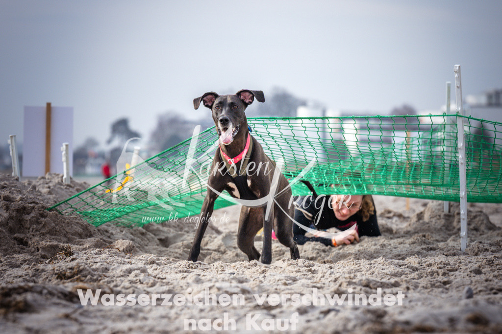 1129_ZZ99057 | kk-dogfotos