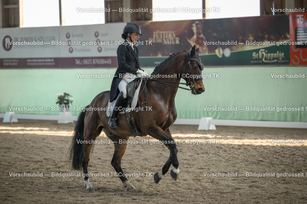 _D5A0705 | Emotionale Pferde- & People-Fotografie rund um Heidelberg, Leimen & Umgebung. Natürliche Fotos von Pferd, Mensch & Familie. Jetzt Termin sichern!