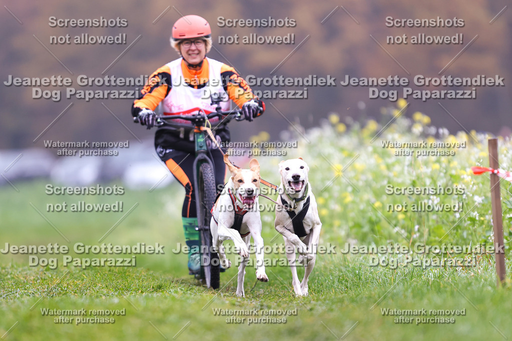 Dog Paparazzi - Visbeck 25 -98 | Dog Paparazzi Jeanette Grottendiek Fotografie & Videografie - Realisiert mit Pictrs.com
