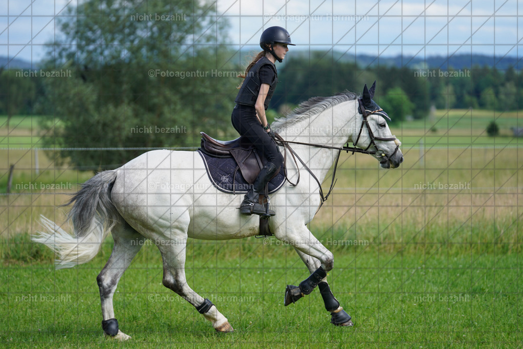 20240622-FAH07900 | Turnierfotografen Bayern, Reitsportbilder aus dem Geländekurs mit Felix Etzel auf dem Gut Waitzacker 2024