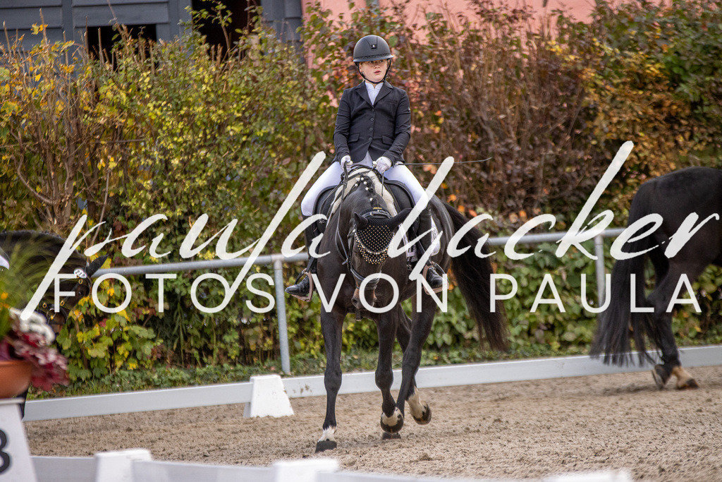 IMG_3692 | Erleben Sie dynamische Sport- und emotionale Tierfotografie in Süddeutschland mit Fotos von Paula. Spezialisiert auf Pferde- und Hundefotografie sowie Sportevents. Kontaktieren Sie mich für einzigartige und ausdrucksstarke Bilder Ihrer besonderen Momente. - Realisiert mit Pictrs.com