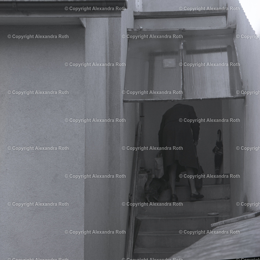 Aarau_0629 | onlineshop - Realisiert mit Pictrs.com