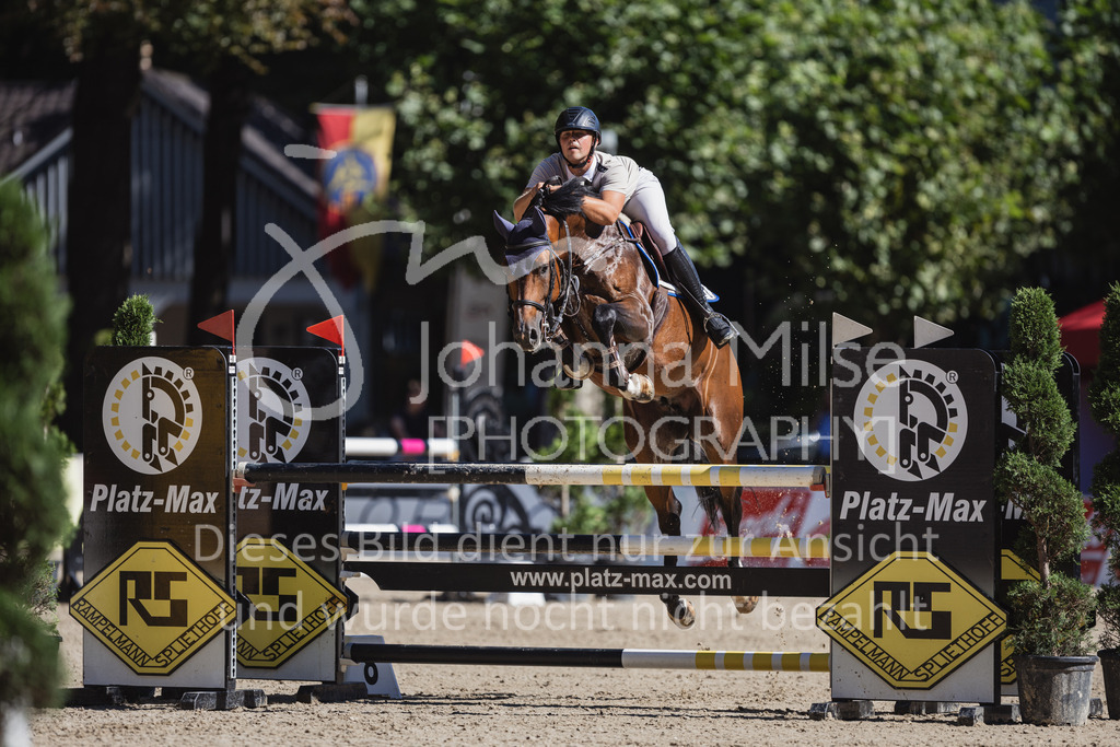 230907_OWLCh_SpringpferdeM-110 | Deine schönsten Turniermomente als professionelle Fotos! Entdecke hochwertige Pferdesport-Fotografie im Online-Shop. Jetzt Fotos finden & bestellen!