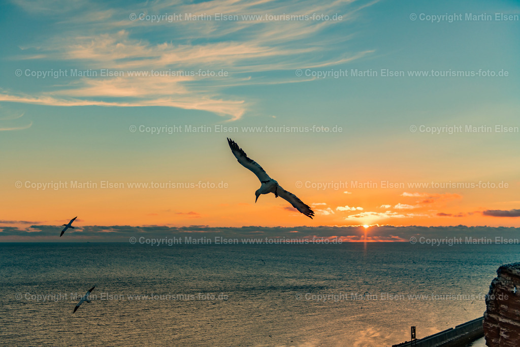 Helgoland  Bastölpel_ELS_7052030818 | Helgoland - Aufnahmedatum: 31.07.2018, Aufnahmehöhe:  m, Koordinaten:  - , Bildgröße: 7915 x  5276 Pixel - Copyright 2018 by Martin Elsen, Kontakt: Tel.: +49 157 74581206, E-Mail: info@schoenes-foto.deSchlagwörter:Schleswig-Holstein,Landkreis Pinneberg,Düne,Hochseeinsel,Börteboote,Meer,Küste,Halunder,Oberland,Unterland,Strand,Seehunde,Robben,Lange Anna,Felsen,Roter Felsen,Luftbild,Luftbilder,Bastölpel - Realisiert mit Pictrs.com