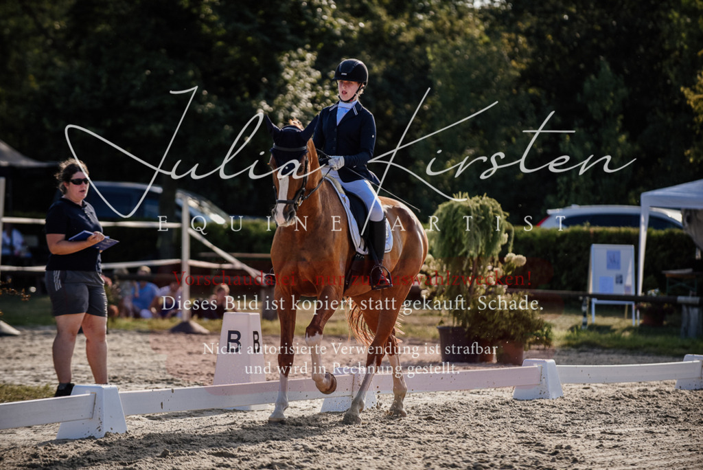DSC_0528 | Pferde- und Turnierfotografie in Westsachsen. Pferdeportraits, Auftragszeichnungen und intuitive Kunst.