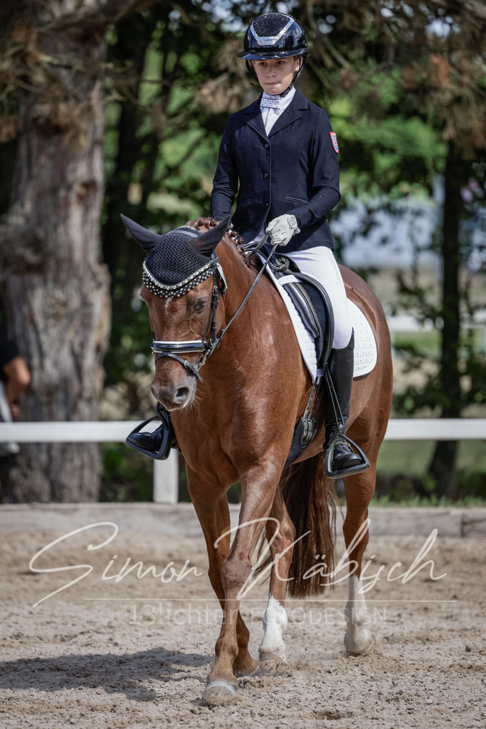 20250906-_3LI5498 | Tierfotografie Pferde, Hunde, Katzen, Haustiere.
Turnierfotografie Reitturniere, Reiten, Springreiten, Dressur in Hanau, dem Main-Kinzig-Kreis und dem Rhein-Main- Gebiet um Frankfurt