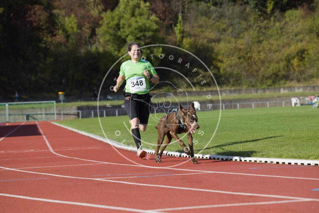 0L8A9333 | Hundefotografie, Tierfotograf, Pfotenfotografie, Fotoshooting Hund, Hunde Portrait, Hundesport, Hundeportraits, Heideshooting, Hunde, Sportfotograf, Hundefotograf, Turnierhundsport, THS,  - Realisiert mit Pictrs.com