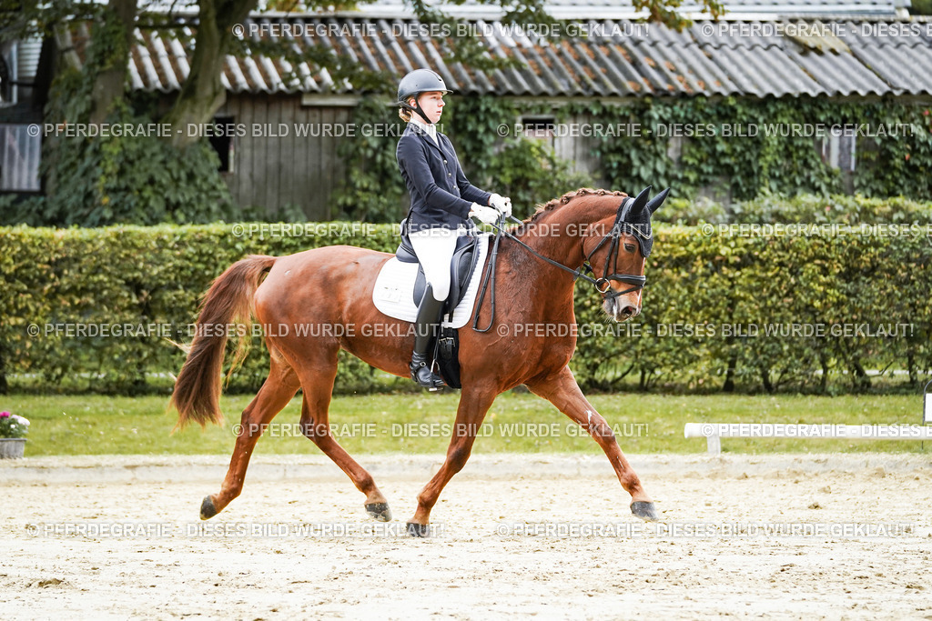 DSC07320 | Pferdegrafie