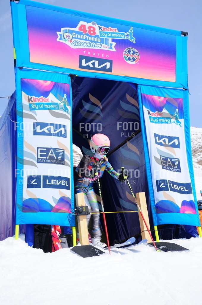 DSC_5451 | holidayphoto