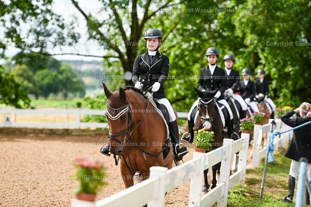20230716_10-1_Reiter-WB Schritt - Trab - Galopp_0067 | equistock