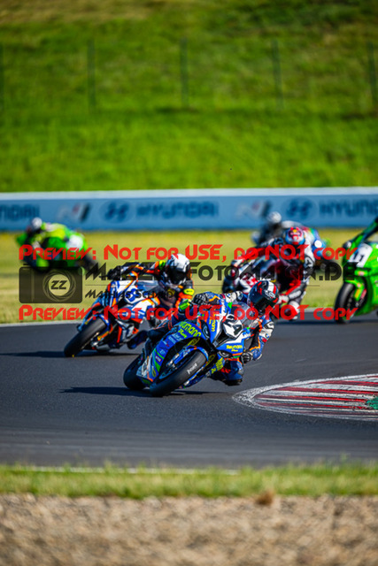 MaZZes_Fotomatrix_20230624_6021986_2838 | PRO SUPERSTOCK