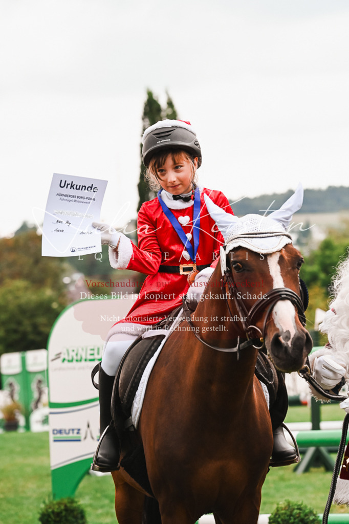 DSC_7640 | Pferde- und Turnierfotografie in Westsachsen. Pferdeportraits, Auftragszeichnungen und intuitive Kunst.