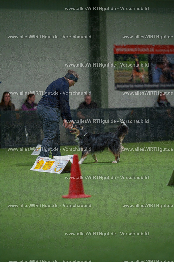 7R504312 | Professionelle Tierfotografie in Mönchengladbach von Daniel Wirth (allesWIRTHgut). Liebevolle & natürliche Bilder von Hunden & Katzen für unvergessliche Erinnerungen.