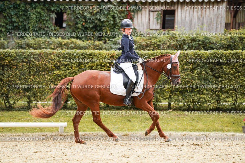 DSC09767 | Pferdegrafie