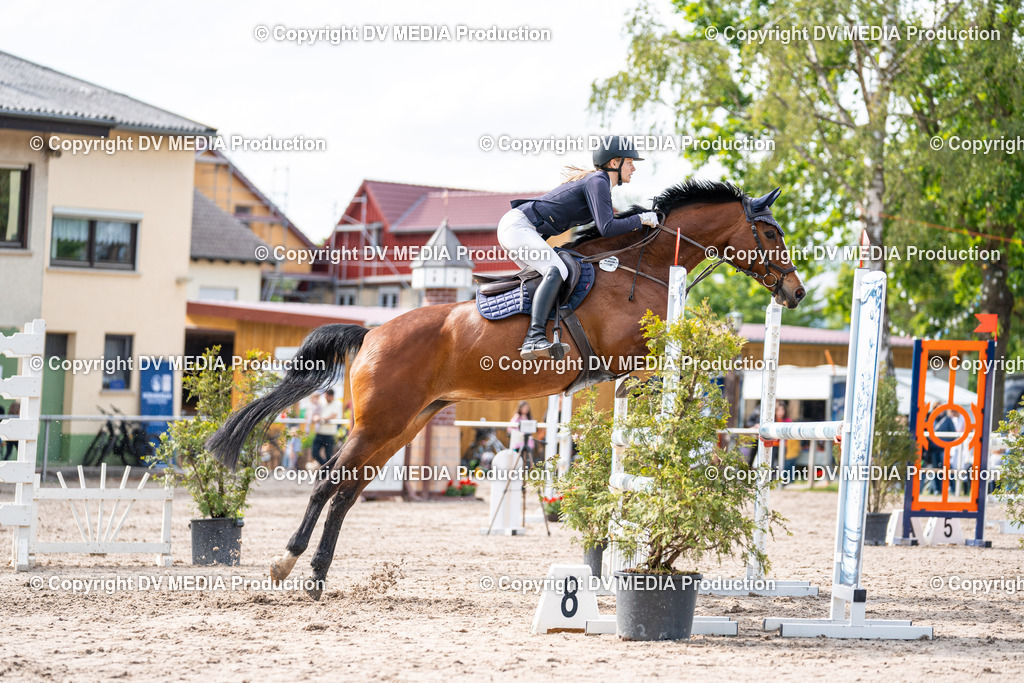 Eppelheim Tag 2-623 | dv-media-shop - Realisiert mit Pictrs.com