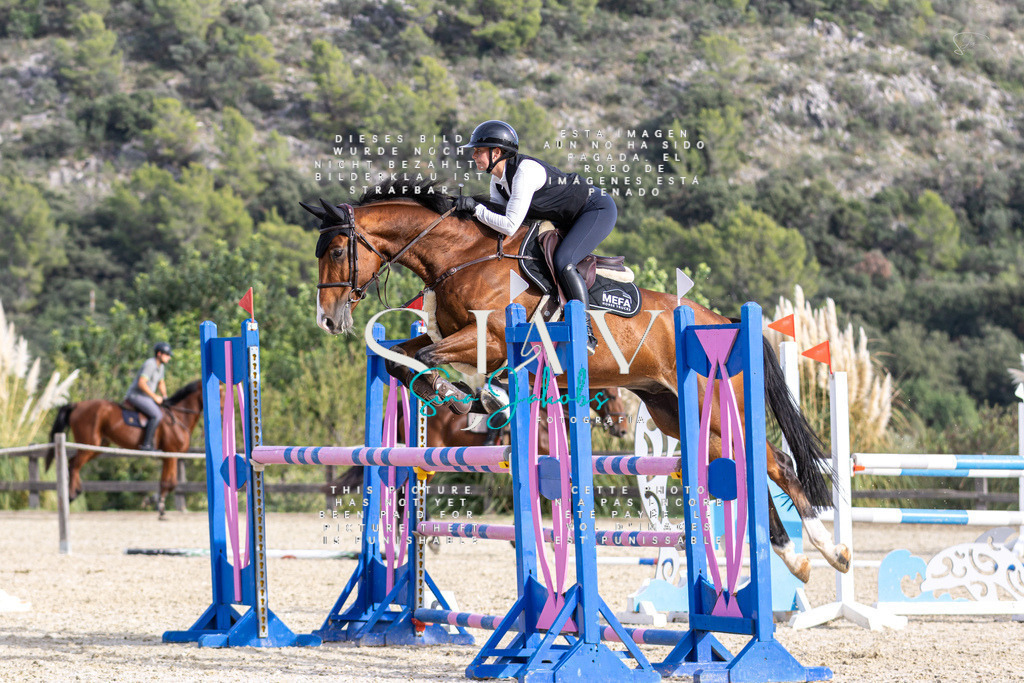 IMG_4283 | s-jay-photography - Realisiert mit Pictrs.com