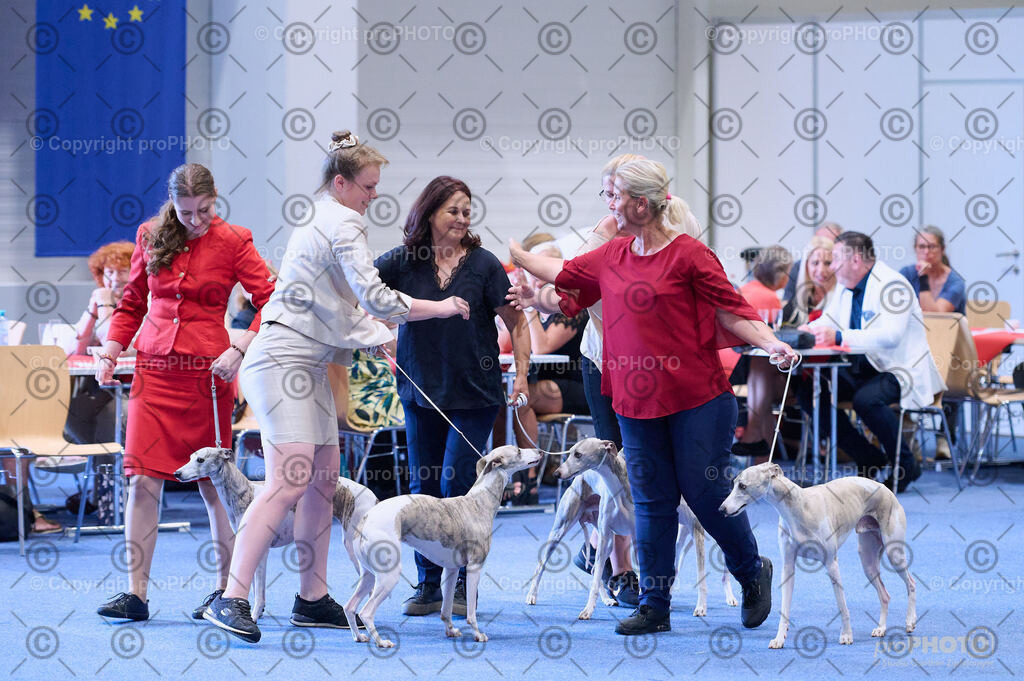 202406_ÖKV-IHA-Tulln24_DSC_3780 | proPHOTO - Realisiert mit Pictrs.com