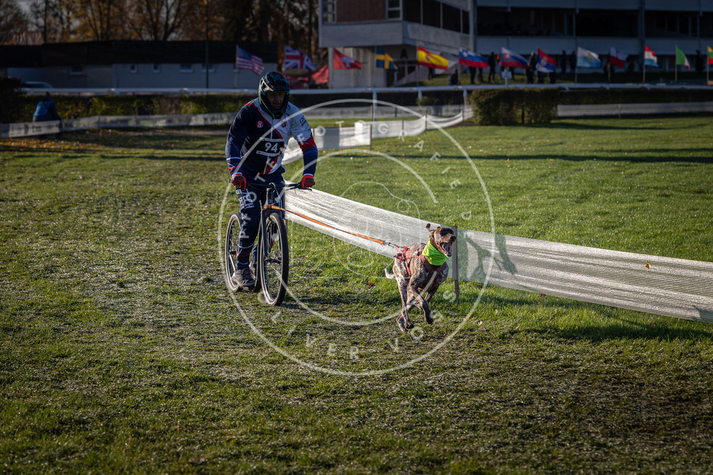 CaniXpix_0L8A3893 | Hundefotografie, Tierfotograf, Pfotenfotografie, Fotoshooting Hund, Hunde Portrait, Hundesport, Hundeportraits, Heideshooting, Hunde, Sportfotograf, Hundefotograf, Turnierhundsport, THS,  - Realisiert mit Pictrs.com
