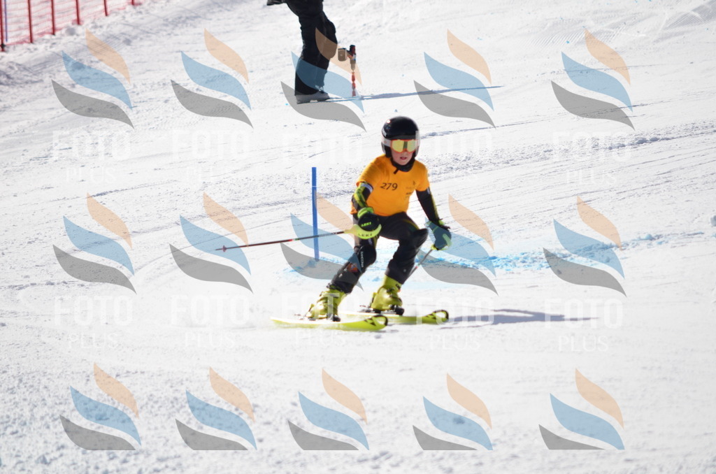 C8629 | holidayphoto