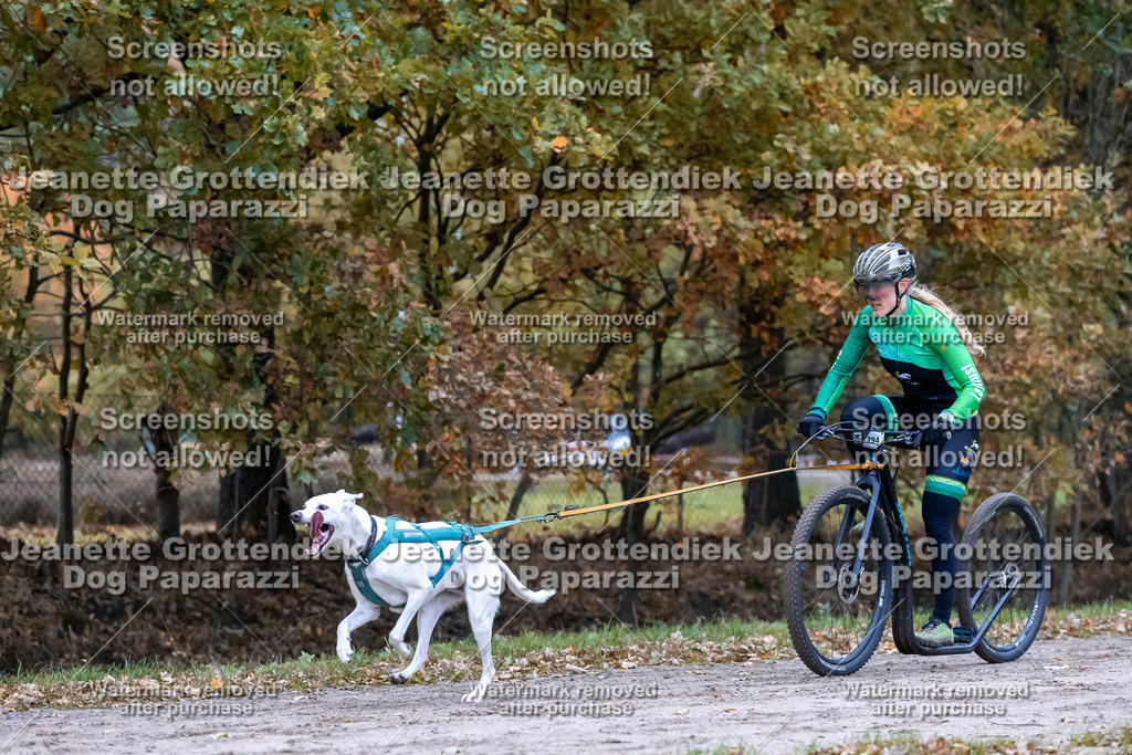 Dog Paparazzi - SD CaniX Championship 2025-174 | Dog Paparazzi Jeanette Grottendiek Fotografie & Videografie - Realisiert mit Pictrs.com