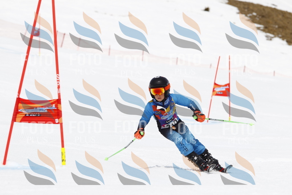 _U3G7708 | holidayphoto