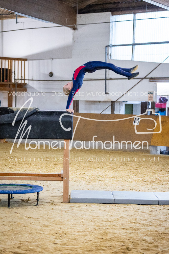 Holzpferd-098 | MomenTaufnahmen Pferdesportfotos