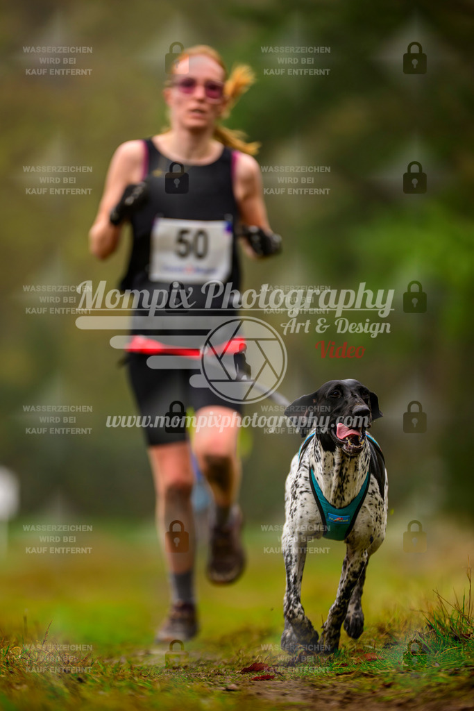 MompixPhotography_Bischwiller2025_Canicross-28 | mompixphotography