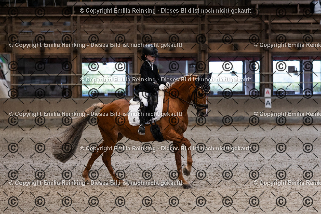 CL5A5421 | Emilia Reinking Fotografie - Realisiert mit Pictrs.com