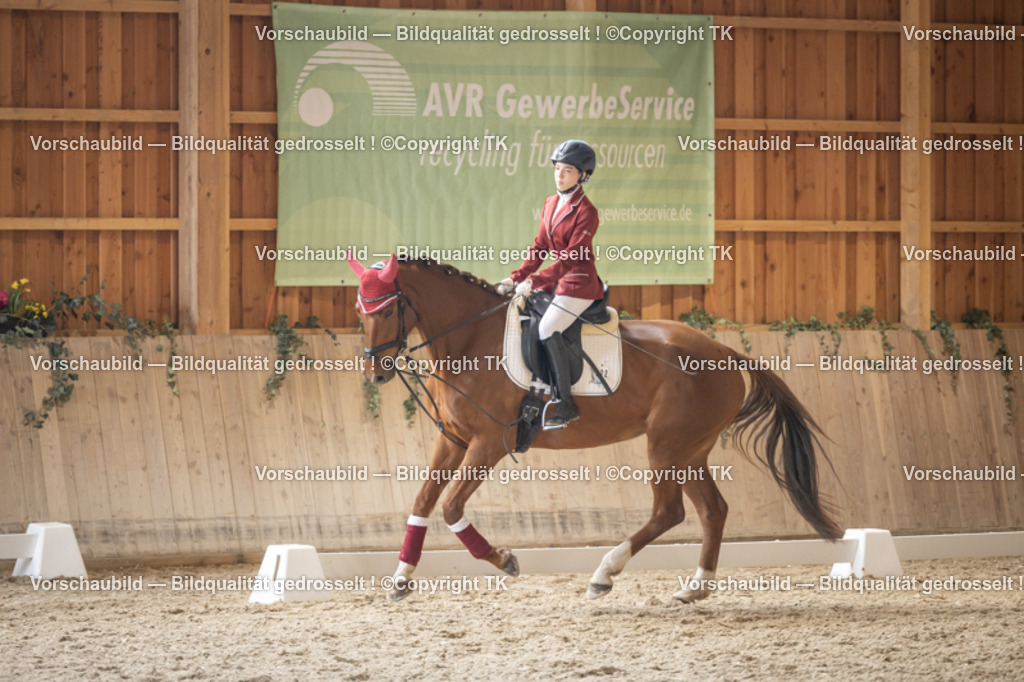 _D5A5678 | Emotionale Pferde- & People-Fotografie rund um Heidelberg, Leimen & Umgebung. Natürliche Fotos von Pferd, Mensch & Familie. Jetzt Termin sichern!