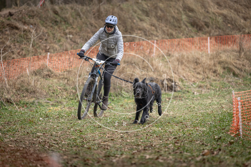 Pfotenfotografie_DV3A9971 | Hundefotografie, Tierfotograf, Pfotenfotografie, Fotoshooting Hund, Hunde Portrait, Hundesport, Hundeportraits, Heideshooting, Hunde, Sportfotograf, Hundefotograf, Turnierhundsport, THS,  - Realisiert mit Pictrs.com